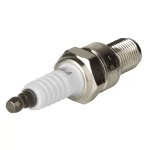 BOÎTE 1 Bougie d'allumage pour pompe à moteur, TRUPER - Product Image 1