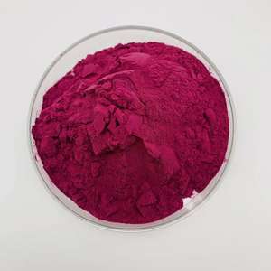 Polvo de pitaya roja liofilizada Polvo de jugo de fruta de dragón Polvo de fruta de dragón rojo orgánico - Product Image 3