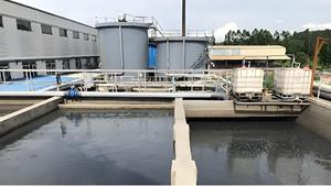Système de traitement des eaux usées par procédé A/O éliminant les DBO, les DCO et l'azote ammoniacal pour les eaux usées des industries alimentaires, brasseries et abattoirs - Product Image 6