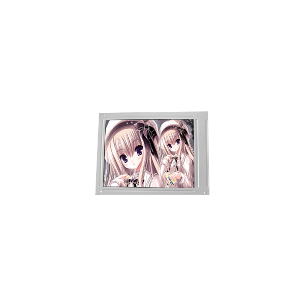 PM065WX1 Lcd Panel 6.5 Inch 800*480 Hot Sell LCD Display Screen for Automotive Display