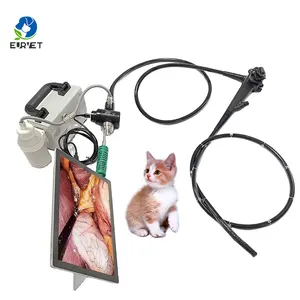 EUR VET Portable Usb Vet Digital Video Flexible Diagnosis Gastroscope/colonoscope Endoscopy With Attract Valve