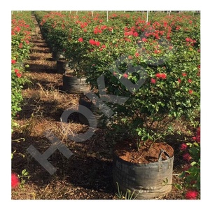Bolsa de cultivo de plantas de PP para exteriores HOKBG, macetas y jardineras de jardín, bolsas de cultivo de verduras para plantas, macetas y jardineras, precio de fábrica - Product Image 3