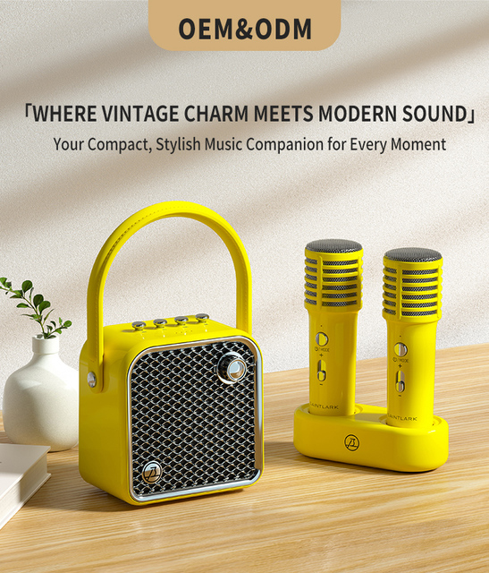 Portable Mini Retro Speaker with Two 2.4G Microphones and Powerful, Deep Bass a Must-have for Parties and a Great Gift Idea