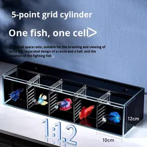 Acquario in Vetro Ultra Bianco per Pesci Betta, Multi-Scomparto con Filtro Posteriore, Nessuna Cambio d'Acqua Necessario, Piccolo per Soggiorno - Product Image 2