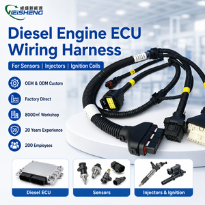 디젤 엔진 ECU 센서 인젝터 점화 코일 OEM용 맞춤형 엔진 배선 하네스 - Product Image 1