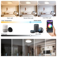 Dimmable Smart Home Salon Rond Téléphone Portable Musique RVB Tuya Wifi Smart Led Plafonnier Salon RGB Plafonnier