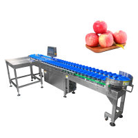 Hoge snelheid roterende weegschaal van roestvrij staal 304 voor het sorteren van fruit & groenten met eenvoudige bediening en avocado sortering
