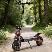Nouvelle trottinette électrique tout-terrain 10 pouces à pneus larges, 48V 800W*2, sans balais, homologuée CEE, lithium, 55km/h, 150kg, électronique, en promotion