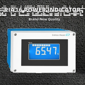 Macchina di Prova E+H RIA16 per Tester di Abrasione, Protezione IP66, Tensione 110V, 1 Anno di Garanzia, Nuova Condizione, Indicatore di Alimentazione a Loop - Product Image 3