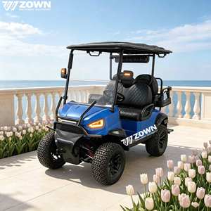 Voiturette de <span class=keywords><strong>golf</strong></span> électrique personnalisée de haute qualité, véhicule de loisirs, voiturette de <span class=keywords><strong>golf</strong></span> neuve, <span class=keywords><strong>prix</strong></span> direct usine - Product Image 1