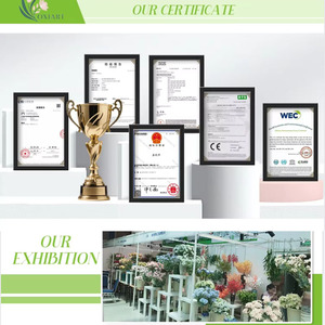 Feuilles de banian dorées réalistes, artificielles, à transition de couleur, en plastique, pour la décoration de la maison et la vente en gros - Product Image 5