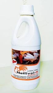 Suplemento Alimenticio de Alta Calidad para el Apoyo Hepático de Aves de Corral, para Pollos de Engorde, Gallinas Ponedoras y Nutrición Diaria en Granjas - Product Image 3
