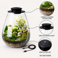 Terrarium de bureau en verre avec lumière de croissance pour plantes, petit aquarium, plantes succulentes, mousse, mini-jardinage, paysage miniature