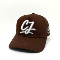 Gorra de Béisbol Estructurada de Dos Colores 100% Algodón OEM ODM, Gorra Personalizada CJ All Star Game con Doble Bordado, Gorras Snapback de Equipo de Liga