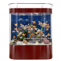 Nouvel aquarium mural autoportant en verre sans eau, motif Dragon Doré et Poisson Rouge, pour salon, taille moyenne à grande, modèle 2024