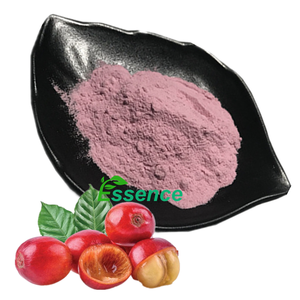 Estratto Naturale di Ciliegia del Caffè 10:1 Polvere di Estratto di Ciliegie del Caffè Essiccate - Product Image 1
