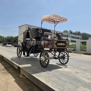 รถม้าชมวิวตกแต่งอย่างประณีต งานตกแต่งตามสั่งสำหรับงานเทศกาลวันหยุด งานแต่งงาน และงานอีเว้นท์ธีมต่างๆ - Product Image 6