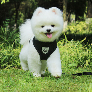 Ensemble de harnais rembourré pour chien HY, impression par sublimation avec logo personnalisé, harnais, laisse et collier pour chien de luxe rose doux, sans traction, accessoires pour animaux de compagnie - Product Image 2