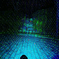 Lumières laser de jardin extérieures à mouvement de luciole RGB à haute luminosité 700 MW pour les décorations de parcs, de jardins, de maisons dans les arbres