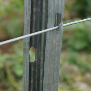 Poste de Acero Galvanizado para Viñedos y Proyectos de Enrejados, Fácil de Montar - Product Image 3