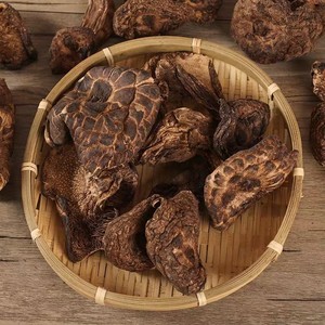 Chine champignon de <span class=keywords><strong>baume</strong></span> <span class=keywords><strong>du</strong></span> <span class=keywords><strong>tigre</strong></span> <span class=keywords><strong>noir</strong></span> séché sauvage de haute qualité - Product Image 6
