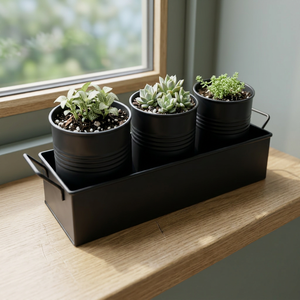 Minimalist Eco-Friendly Lightweight Metal Planters Set 3 <b>Pots</b> Tray <b>for</b> Indoor Succulents Green Plants Desktop Use Powder Coated - Product Image 3