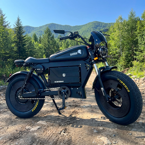 Fabricante: Bicicleta de Montaña Negra de 3000W 60V 50Ah Mejorada con Suspensión de Aire y GPS de Alta Velocidad, Fabricante Original, Personalización Gratuita - Product Image 2