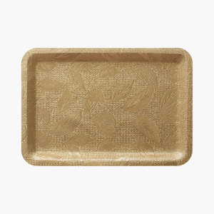 Plateau en acrylique moderne KRA-612 415*285-Plateau d'affaires en plastique transparent pour usage domestique, hôtel, café et hôpital - Product Image 2