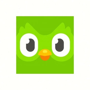บัญชี Duolingo Pro ระดับพรีเมียม 1 ปี ใช้ได้ทั่วโลก เปิดใช้งานบัญชีของคุณเอง - Product Image 4