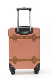 Valigia in Stile Retrò in ABS con Manico in Alluminio-Ferro, Serratura TSA Esterna e Ruote Singole - Product Image 4