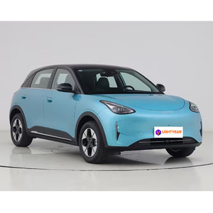 All'ingrosso di alta qualità Geely <span class=keywords><strong>GOME</strong></span> Star Wish Freedom versione EV <span class=keywords><strong>auto</strong></span> 410km 4 posti nuovo modello di <span class=keywords><strong>auto</strong></span> elettriche - Product Image 5