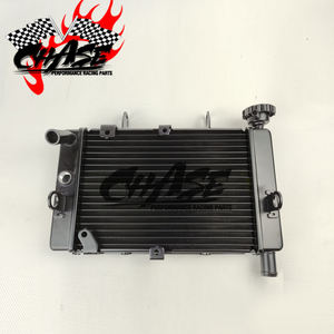 Radiatore del radiatore dell'acqua delle parti del motore del motociclo per <span class=keywords><strong>Benelli</strong></span> leoncino 250 BJ250 - Product Image 1