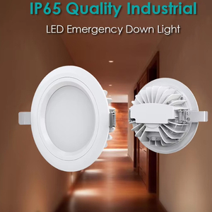 Lámpara de Emergencia LED para Sauna, con Autodiagnóstico, IP65, Industrial, Impermeable, de Aluminio Fundido, LiFePO4, para Piscina, con Certificación CE - Product Image 1