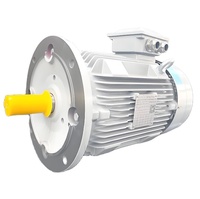 Motor de Inducción Asíncrono Trifásico Siemens Innomotics IEC 50/60Hz CA, 3000 rpm, Montaje en Pedestal, 0.37KW-355KW, Venta Directa de Fábrica