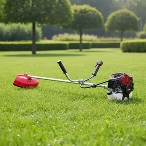 <span class=keywords><strong>Desbrozadora</strong></span> <span class=keywords><strong>de</strong></span> <span class=keywords><strong>Gasolina</strong></span> TIYE Power 42.7cc, Nuevo Diseño, <span class=keywords><strong>Precio</strong></span> <span class=keywords><strong>de</strong></span> <span class=keywords><strong>Desbrozadora</strong></span> 430 - Product Image 1