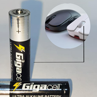 Pile alcaline AA 1,5 Volt haute performance, idéale pour les manettes de console et les jouets