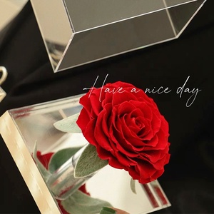 Vendita calda regalo acrilico scatola stabilizzata rosa lunga durata conservato secchi per sempre Rose eterne in cupola - Product Image 4