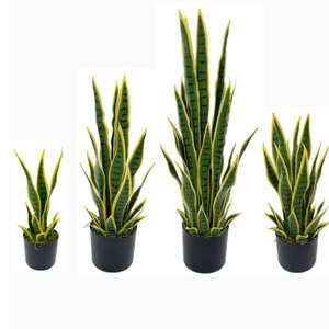 <span class=keywords><strong>ต้นไม้</strong></span><span class=keywords><strong>งู</strong></span>แบบกำหนดเองสำหรับบอนไซ - Product Image 3