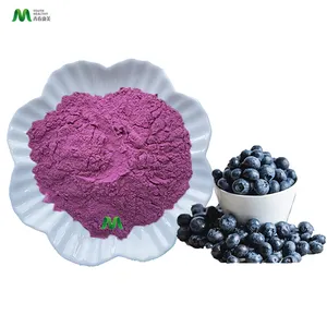 Factory Supply Beverage Powder Bulk Organic Wild Blueberry Fruit Extract Powder