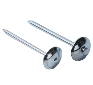 Chiodi Corrugati in Acciaio Trattato Antiruggine e Impermeabili per Siti Agricoli nel <span class=keywords><strong>Mato</strong></span> <span class=keywords><strong>Grosso</strong></span>, <span class=keywords><strong>Brasile</strong></span> - Product Image 6