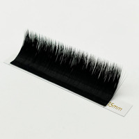 BY Easy Fanning Wholesale Lash Extensions de cils personnalisées J B C CC D DD L+ LC LD M Curl, longueur 5-25mm, épaisseur 0.03 05 07, plateaux de cils