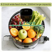 Extracteur de jus à froid silencieux 200W 600ML avec séparation jus et pulpe, directement de l'usine (OEM/ODM) pour les revendeurs d'appareils de cuisine