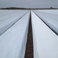Serre agricole Jetway à structure métallique, bâche en film plastique transparente, résistante aux UV, protection contre le gel et le gelée, anti-goutte, prédécoupée