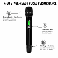 Système de microphone sans fil UHF professionnel True Diversity, double canal, portée 100m, micros portatifs avec égaliseur et effets pour scène et église
