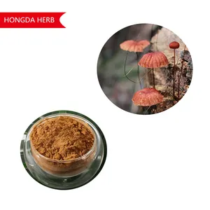 Hongda Marasmius Androsaceus Extract Powder Polyasccharides 30%