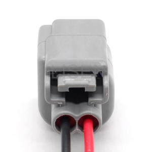 OEM <span class=keywords><strong>2</strong></span>ピンコネクタEPC <span class=keywords><strong>2</strong></span>.8mm燃料インジェクター配線ハーネスフォードE-5069 - Product Image 4