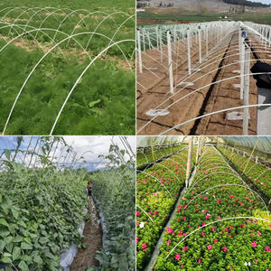 Support de montée de plantes Piquets en fibre de verre FRP pour arbre jardin tomate raisin - Product Image 4