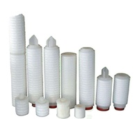 Cartucho de filtro de água de polipropileno plissado, 0.2 micron