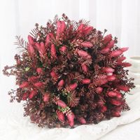 Pot Tanaman Rumput Plastik Hijau Buatan Gaya Pedesaan untuk Dekorasi Ruang Tamu, Buket Bunga Genggam Pampas Merah