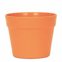 Conteneur de jardin de fleurs succulentes en terre cuite mate de haute qualité